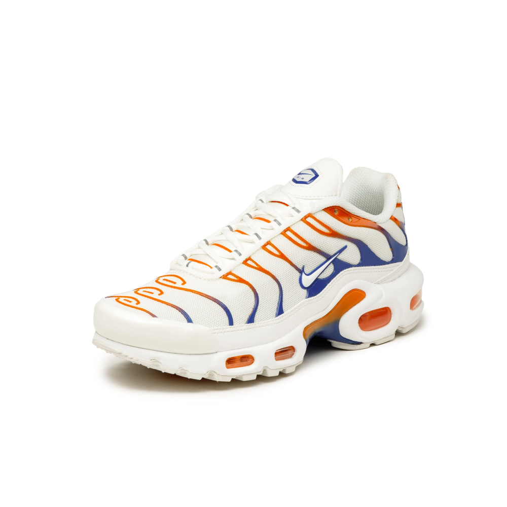 Nike Air Max Plus DZ3671-103 / weiss