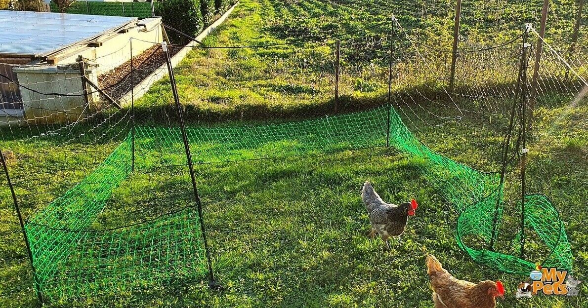 BruKa Weidenzaun Geflügelnetz 150cm Hühnernetz Hühnerzaun Geflügelzaun Zaun Hühner Netz