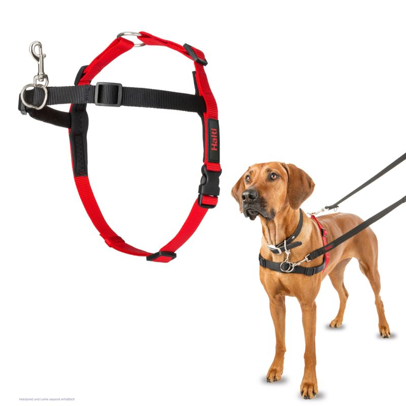 Halti Front Control Trainingsgeschirr zu TOP-Preisen | bitiba %