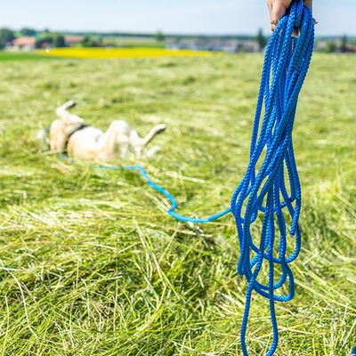 Pawz & Pepper Schleppleine Rund geflochten, blau