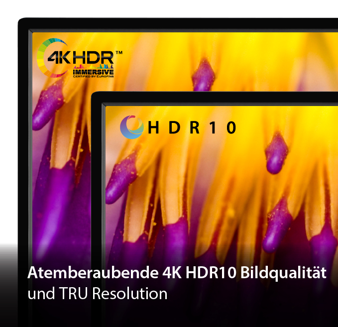 Toshiba Toshiba 55UF3D63DA 55 Zoll Fernseher / Fire TV (4K UHD, HDR, Built-In Alexa, Sound by Onkyo)