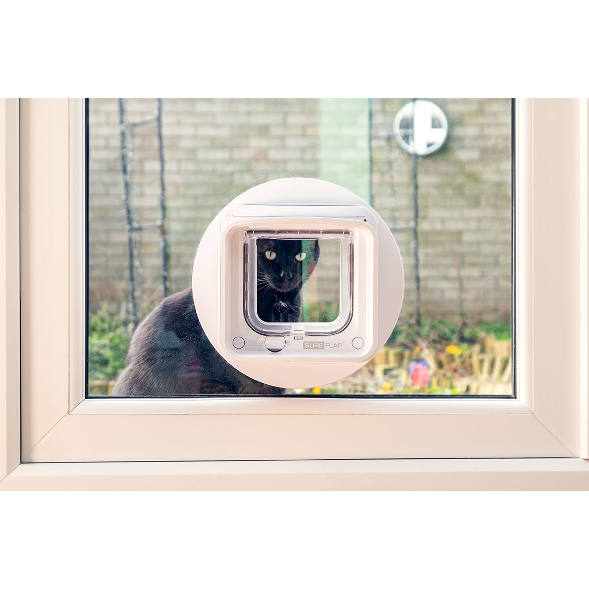 SureFlap Mikrochip Katzenklappe Connect + Hub kaufen