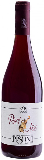 2020 Pinot Nero Vigneti delle Dolomiti IGP - Pisoni Azienda Agricola