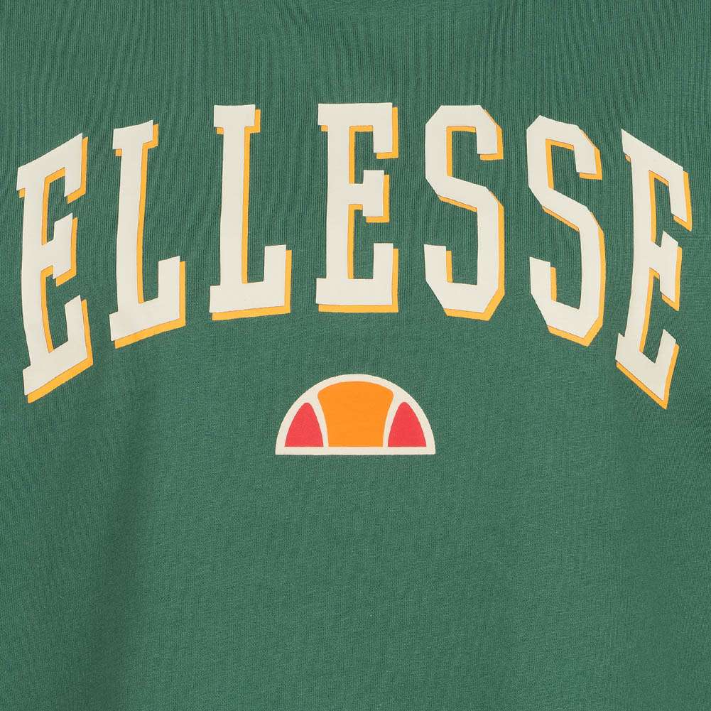 ellesse Alloui Damen Oversize T-Shirt SGP16699-502