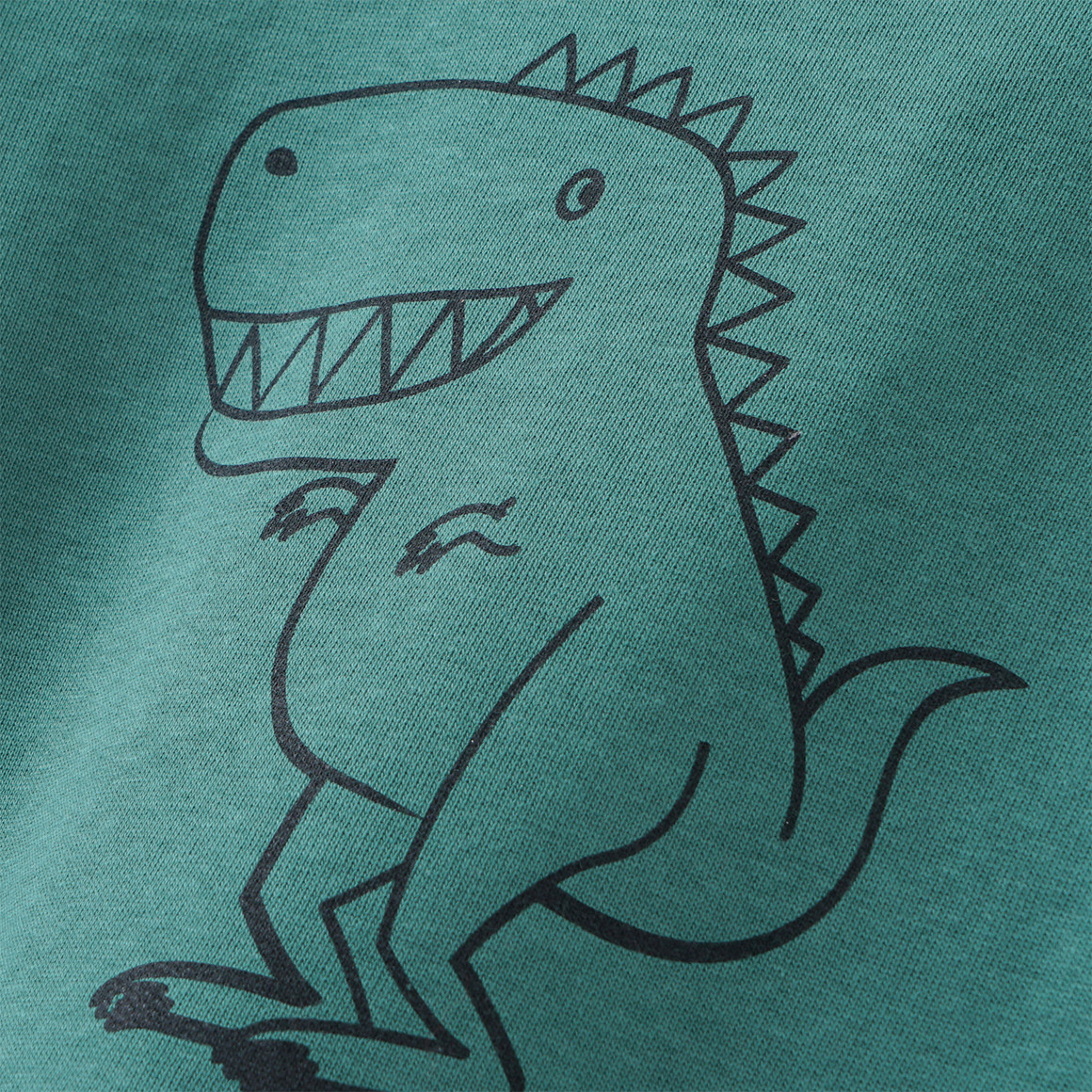 Jungen Sweatshirt mit Dino-Print
