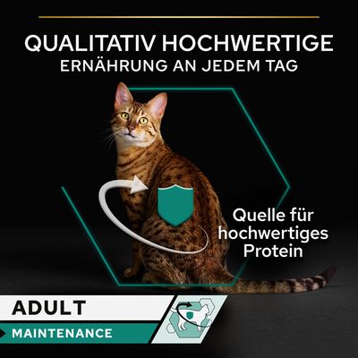 PURINA PRO PLAN Cat Adult Maintenance 24 x 85 g