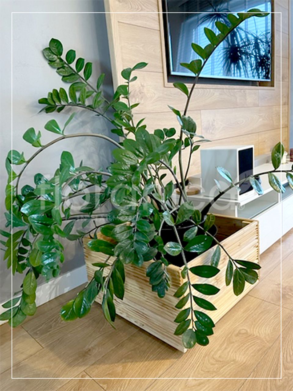 Pemicont Floranica Blumentopf aus Holz Kasten 4 Rollen 50cm x 535cm x 285cm Nicht imprägniertes Lärchenholz Schutzhülle für Kräuter Blumen Haus- und Gartendekoration Innen- und Außenbereich