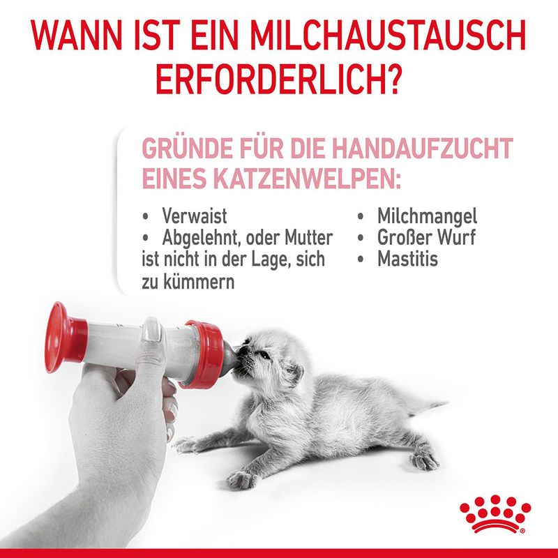 Royal Canin Babycat Milk zu TOP-Preisen