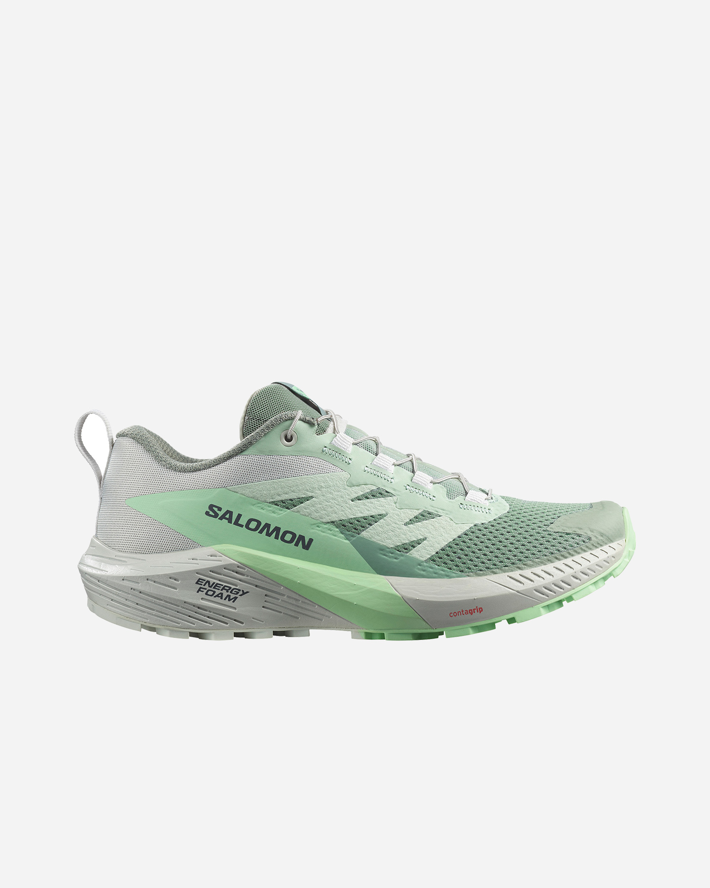 Topánky Salomon Sense Ride 5 W L47314100