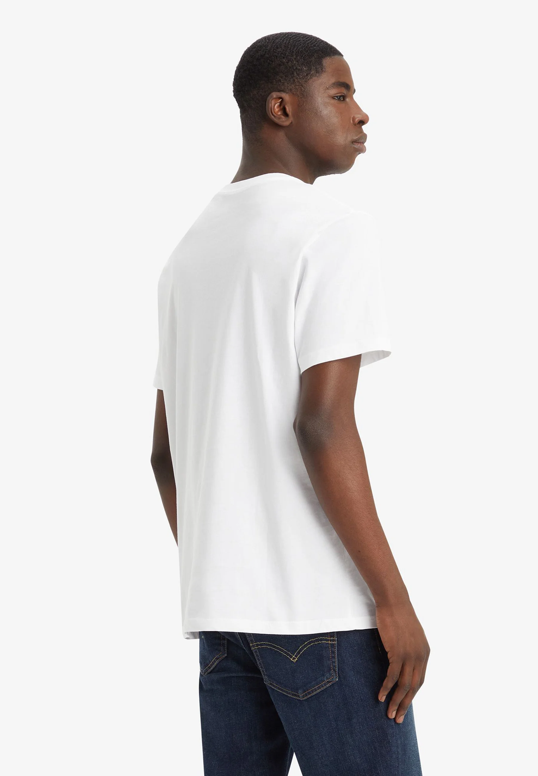 Levi's® HOUSEMARK GRAPHIC - Camiseta con estampado