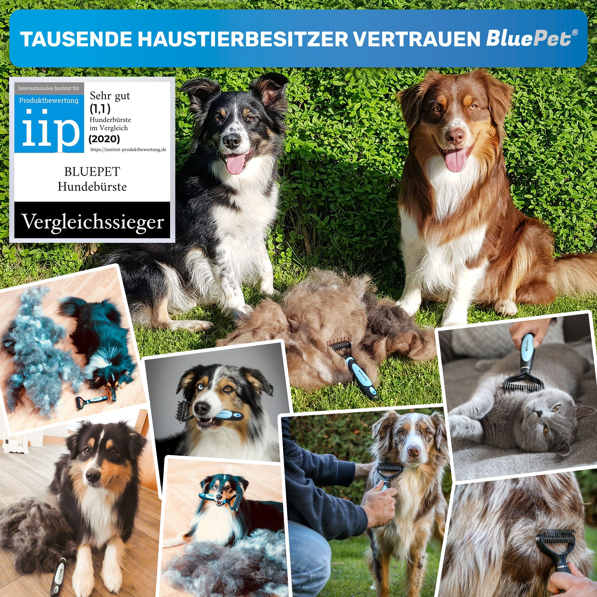 BluePet Unterwollharke 