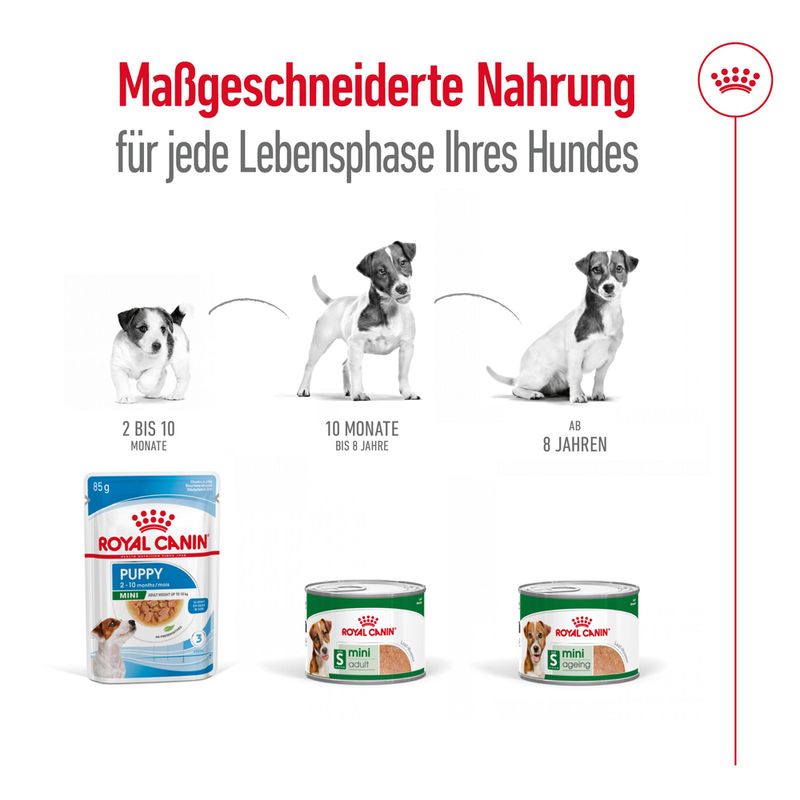 Royal Canin Mini Adult Mousse