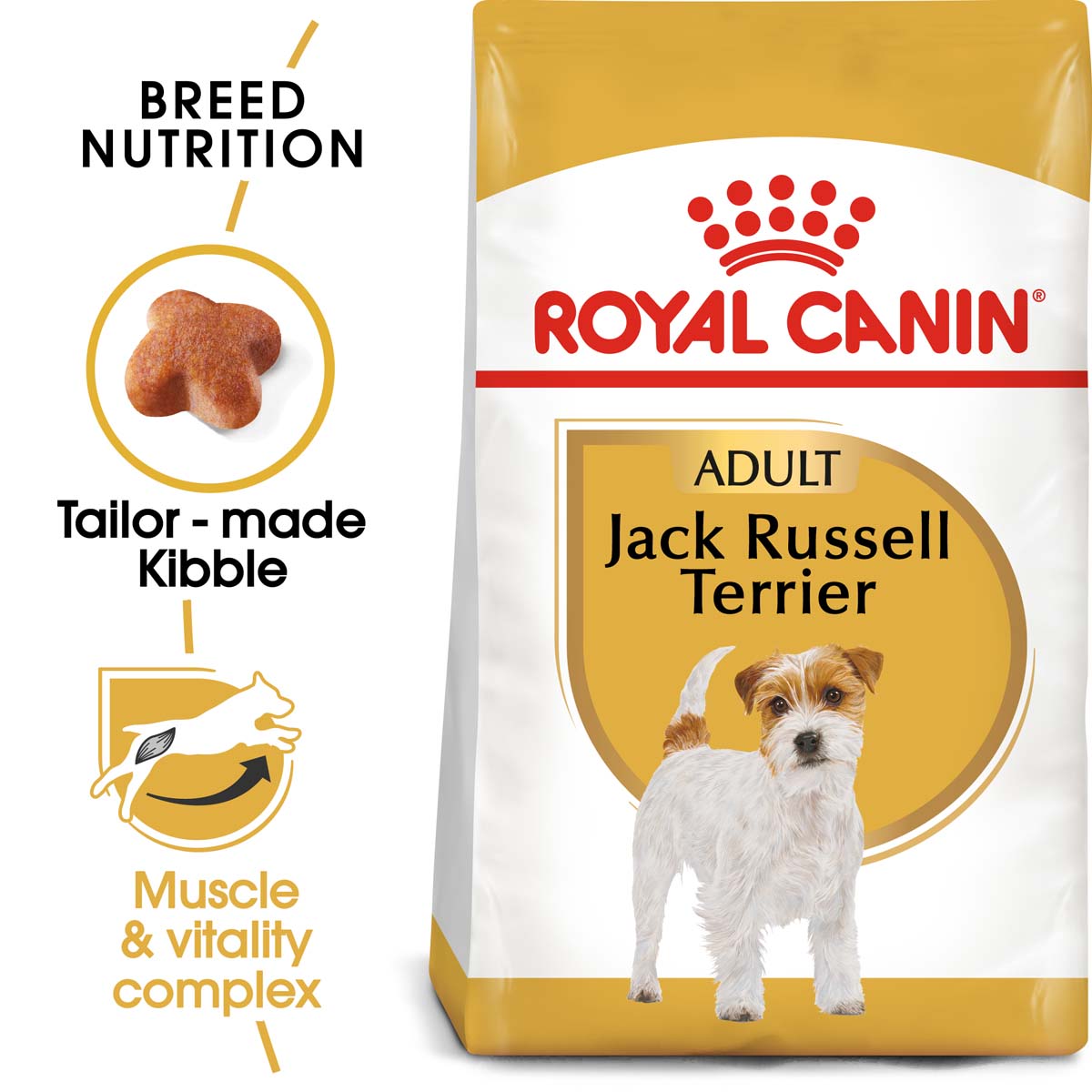 ROYAL CANIN Jack Russell Terrier Adult Hundefutter trocken