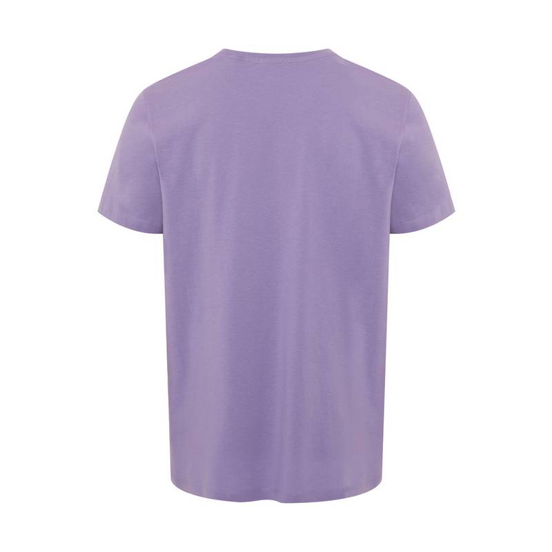 Chiemsee T-Shirt T-Shirt Herren
