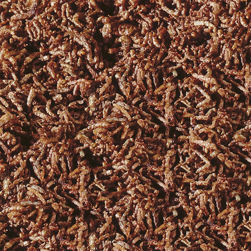 Sera Ergänzungsfutter Sera FD Rote Mückenlarven 250ml