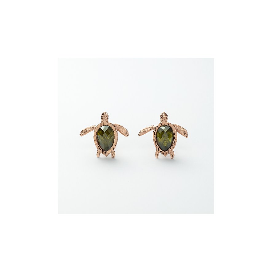 Paul Hewitt Ohrstecker Turtle