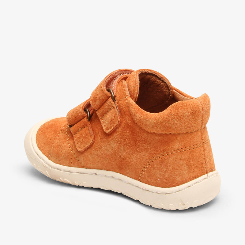 hale peach - Orange