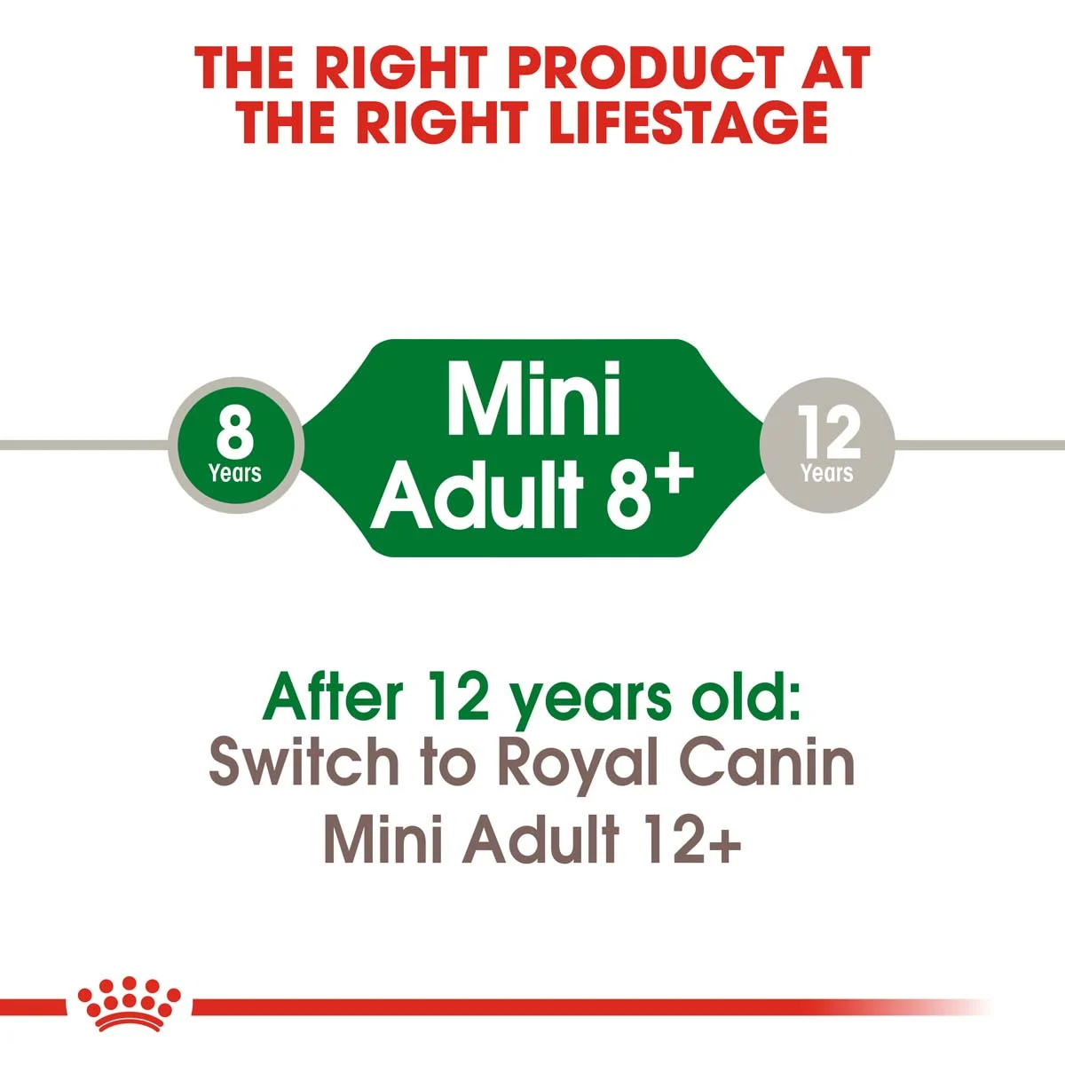 Royal Canin Mini Adult 8+ 2x8kg günstig kaufen bei ZooRoyal