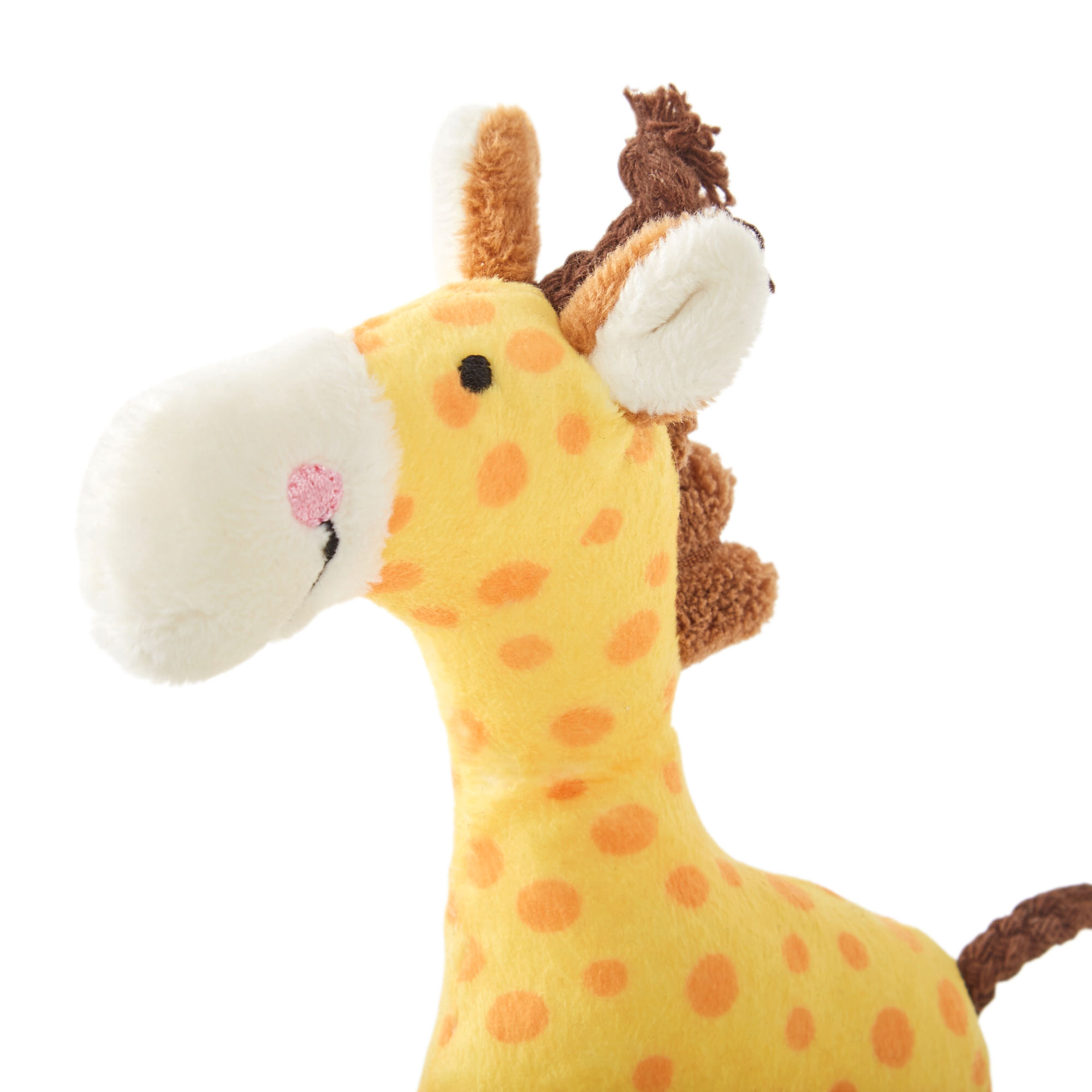 Rassel Giraffe, Red Stars