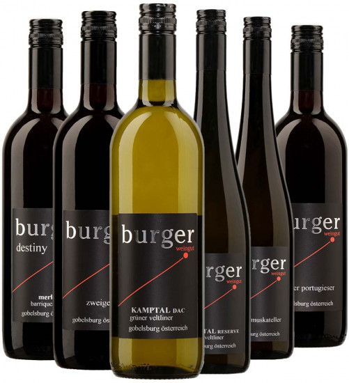 Burger Großes Kennenlern-Paket - Weingut & Rebschule Burger