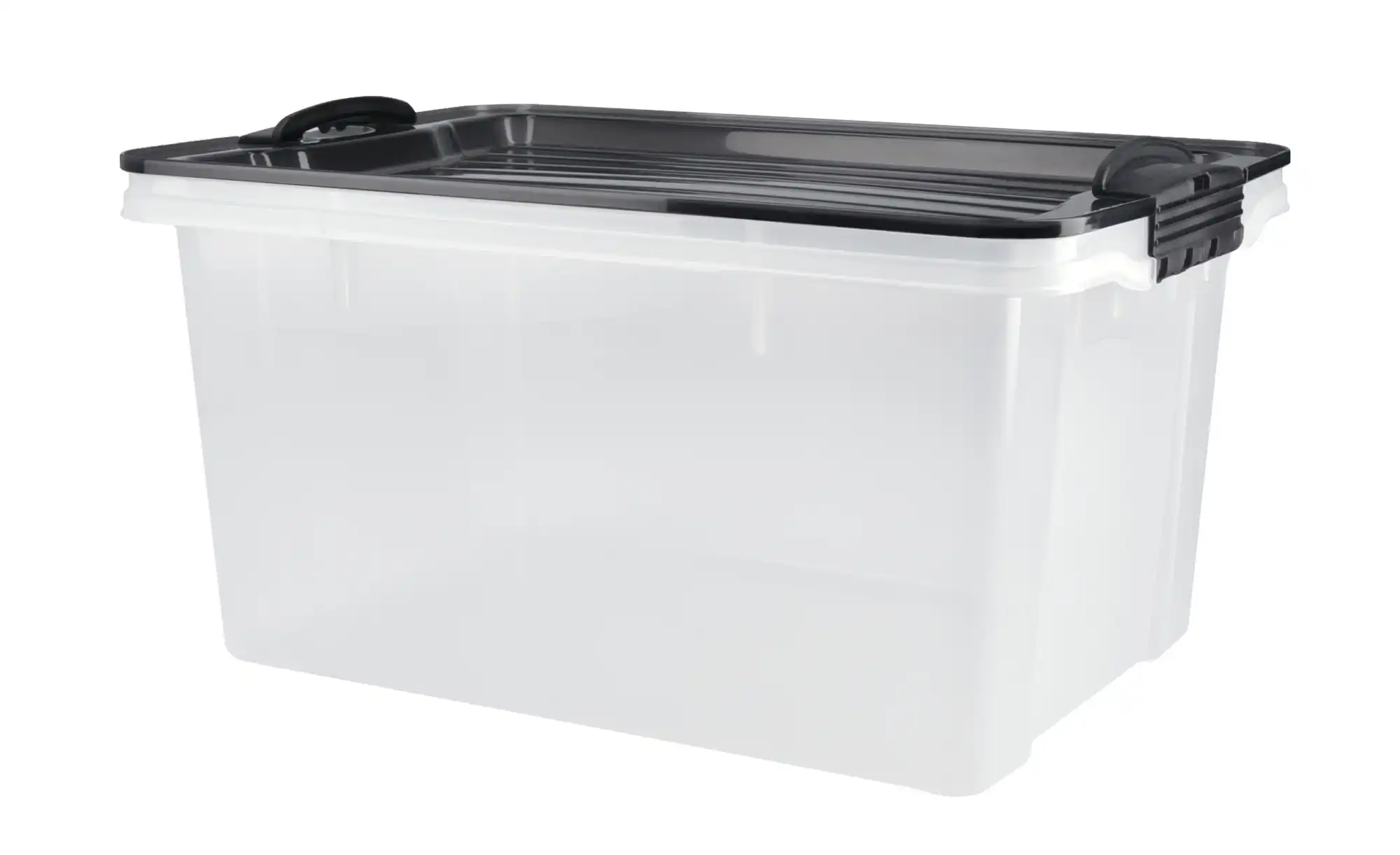 Rotho Aufbewahrungsbox mit Deckel