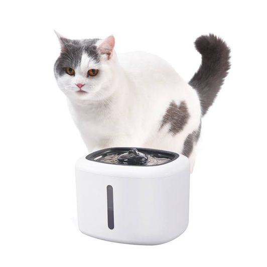 PAWZZ Trinkbrunnen für Haustiere – 2,5 l