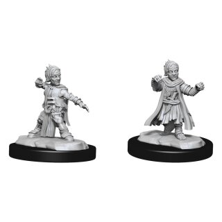 Pathfinder Deep Cuts: Halfing Monk Male (2)