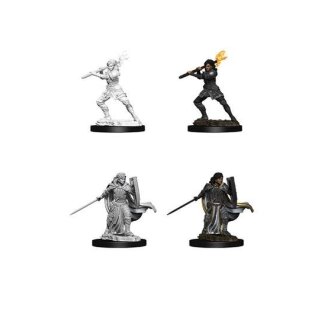 Female Human Paladin: D&D Nolzurs Marvelous Miniatures