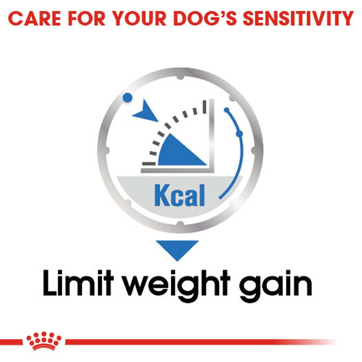 ROYAL CANIN Labrador Retriever Sterilised 12kg + LIGHT WEIGHT CARE Mousse 12x85g