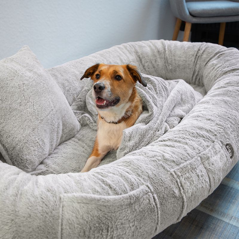 TIAKI XL Komfort Hundebett zu TOP-Preisen