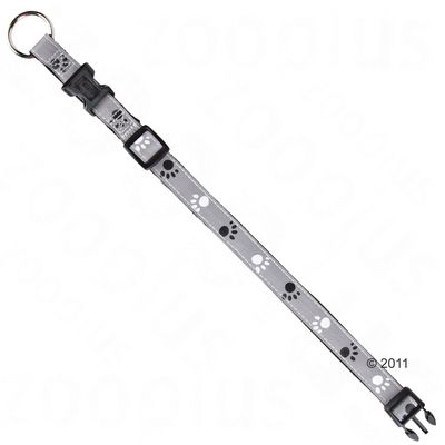 Trixie Set: Halsband Pfoten Silver Reflect + Hundeleine