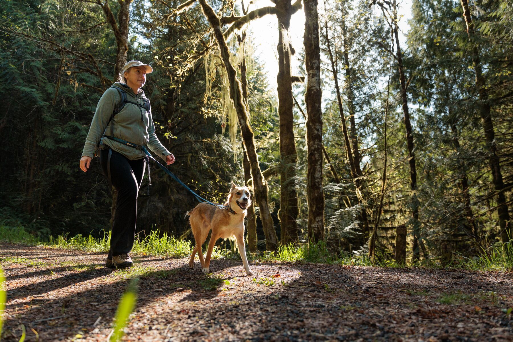 Ruffwear Hundeleinen Ruffwear Bungee Joggingleine Roamer™ blau/ blau M