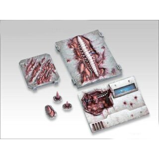 Biomechanik - Umbau-Set (6)