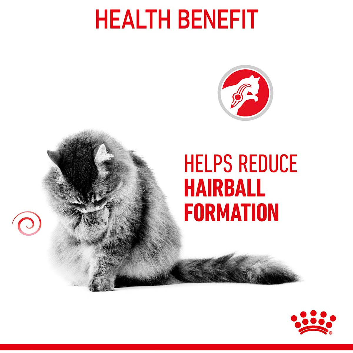 Royal Canin FCN Hairball Care günstig kaufen