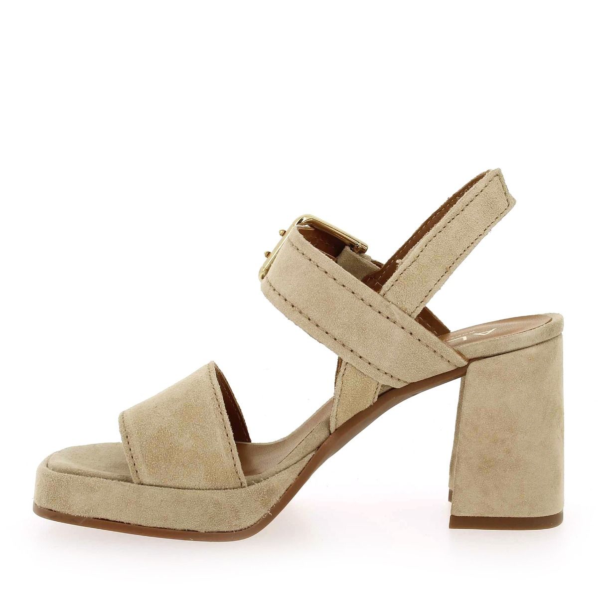 Alpe  2572 - Beige