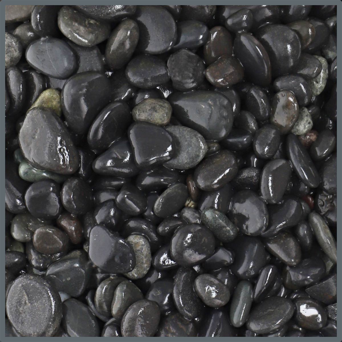 Dupla Ground nature Black Pebbles 8-16mm, 5kg kaufen