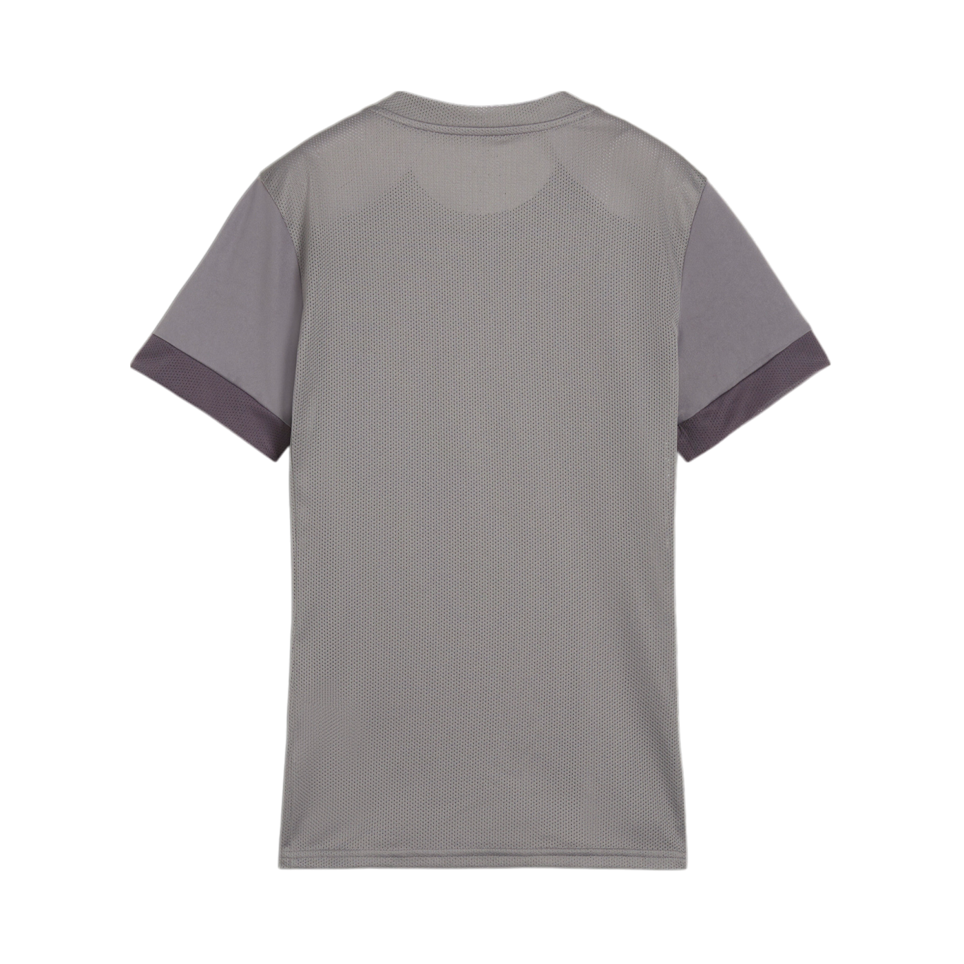 PUMA teamGOAL Matchday Trikot Damen Grau Weiss F13