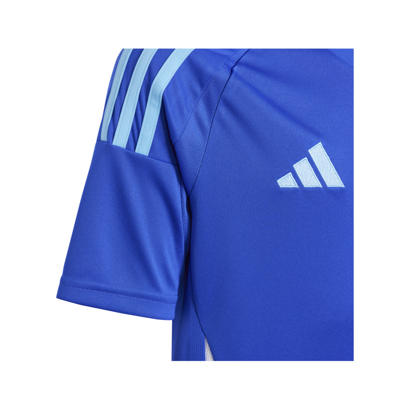 adidas Argentinien Trikot Home Copa America 2024 Kids Blau