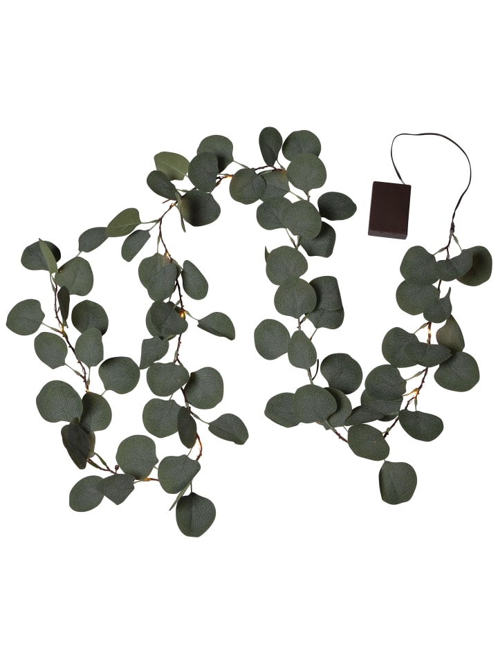 STAR Trading Batterie Girlande Eucalyptus günstig kaufen onesize
