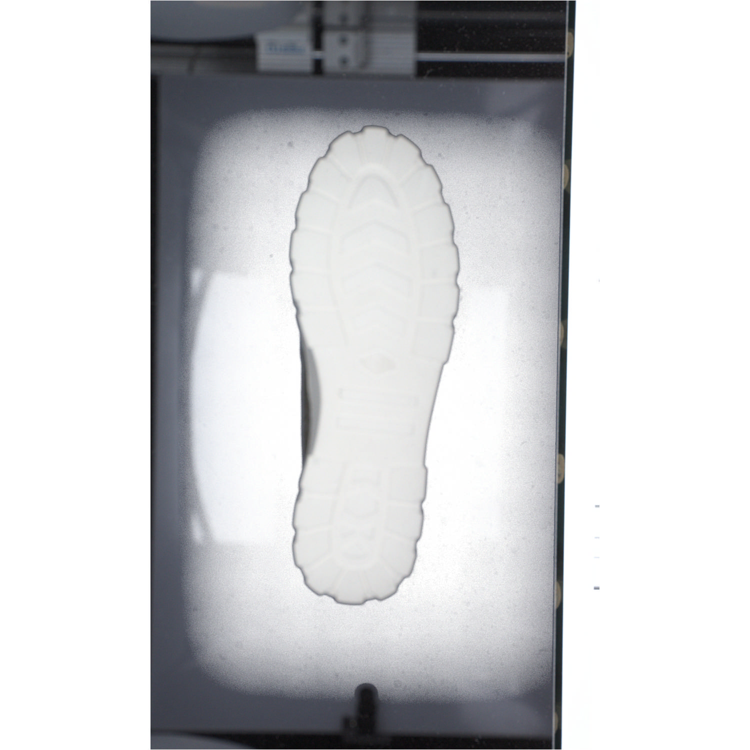 Palladium 98574, Schnürschuhe, Damen, vetiver