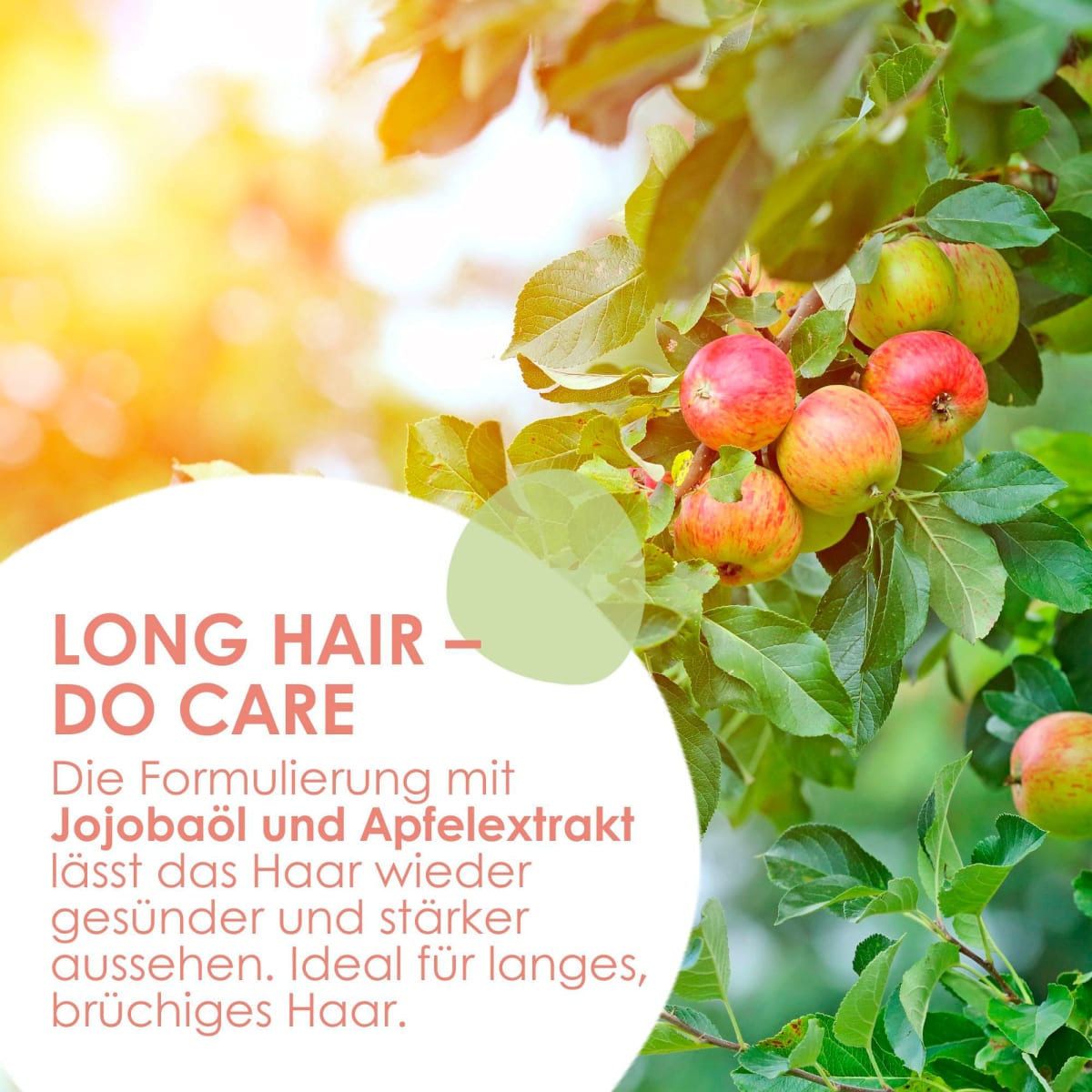 Shampoo Jojoba Apfel, 300 ml