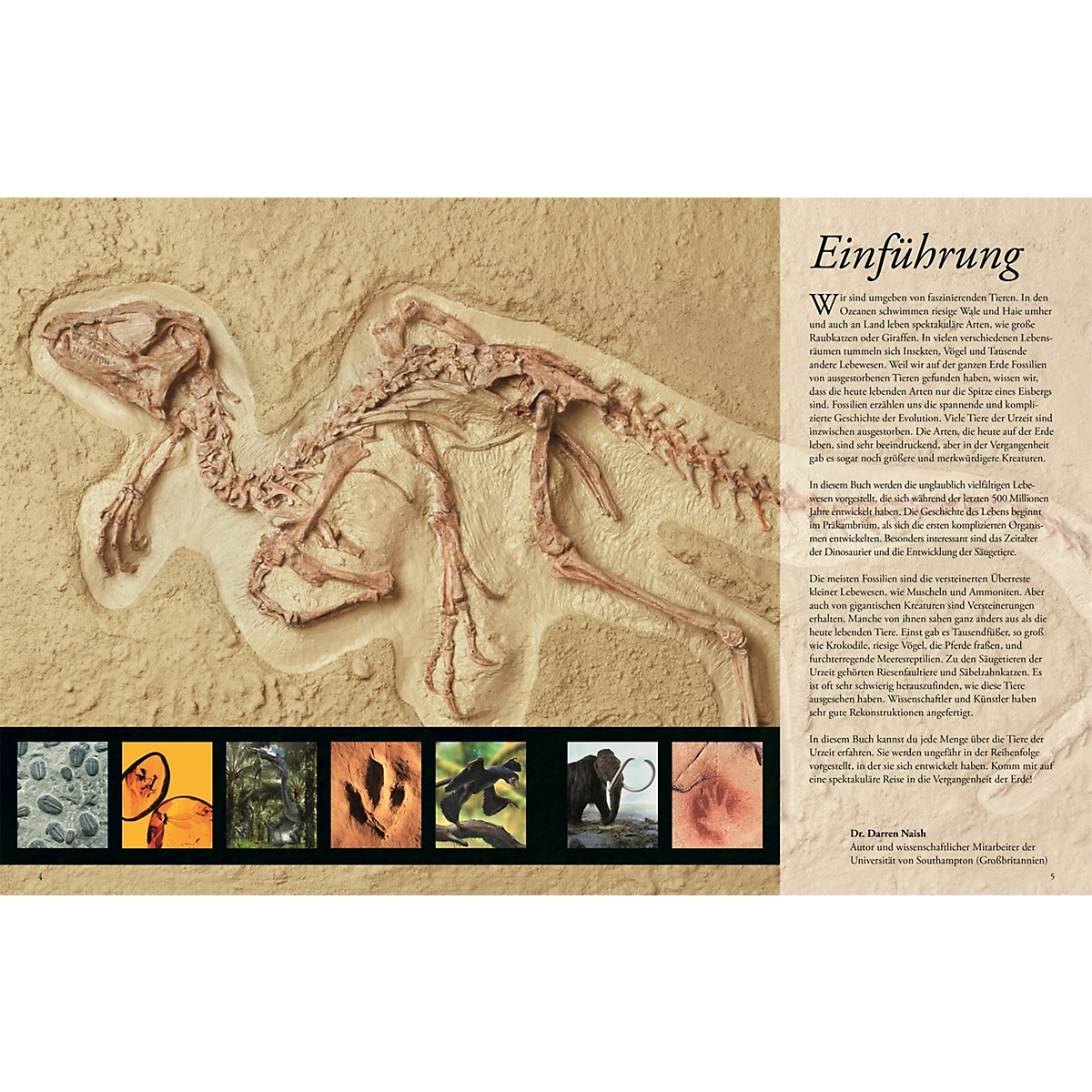 Dinosaurier und andere Tiere der Urzeit für clevere Kids