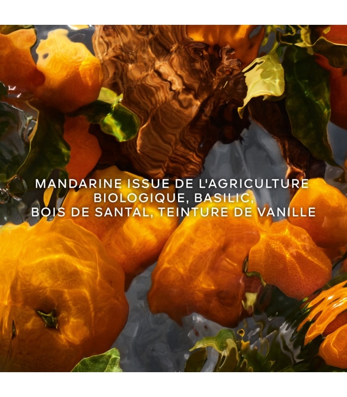 Guerlain-AQUA ALLEGORIA FORTE-Mandarine Basilic - Eau de Parfum