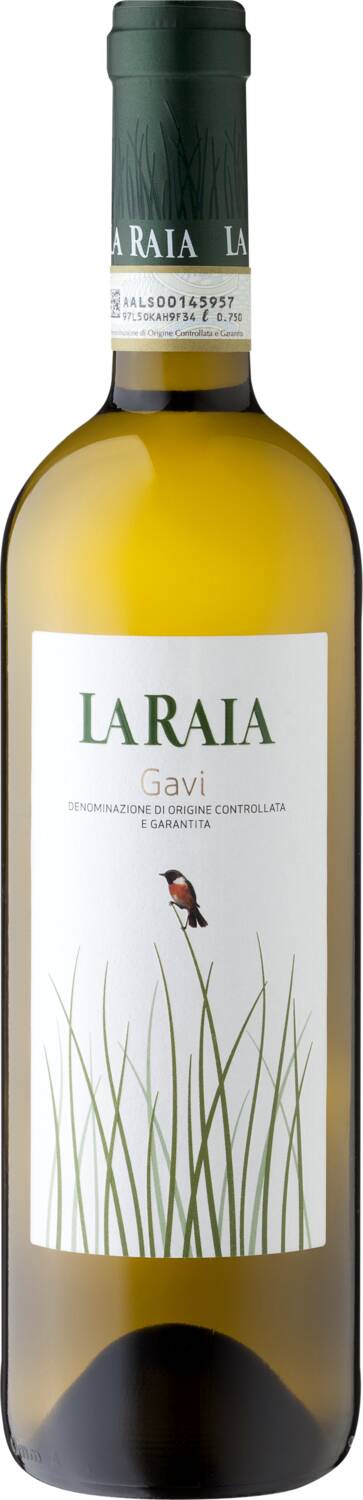 Gavi 2022