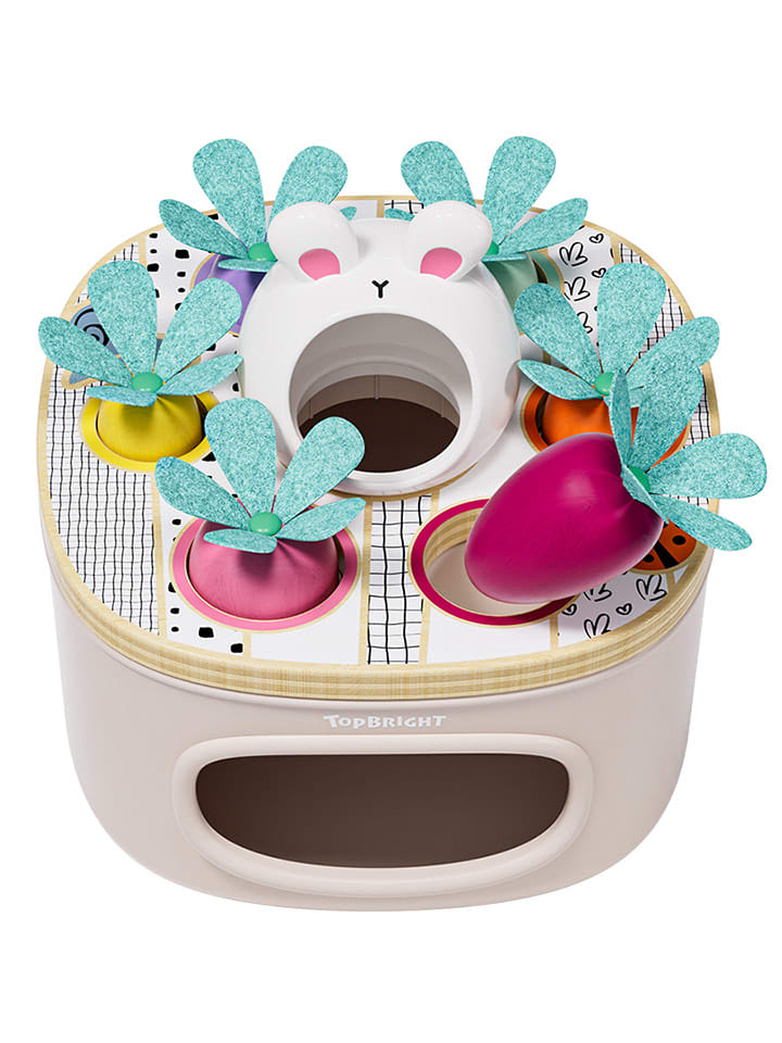 TOPBRIGHT Sortierspiel 