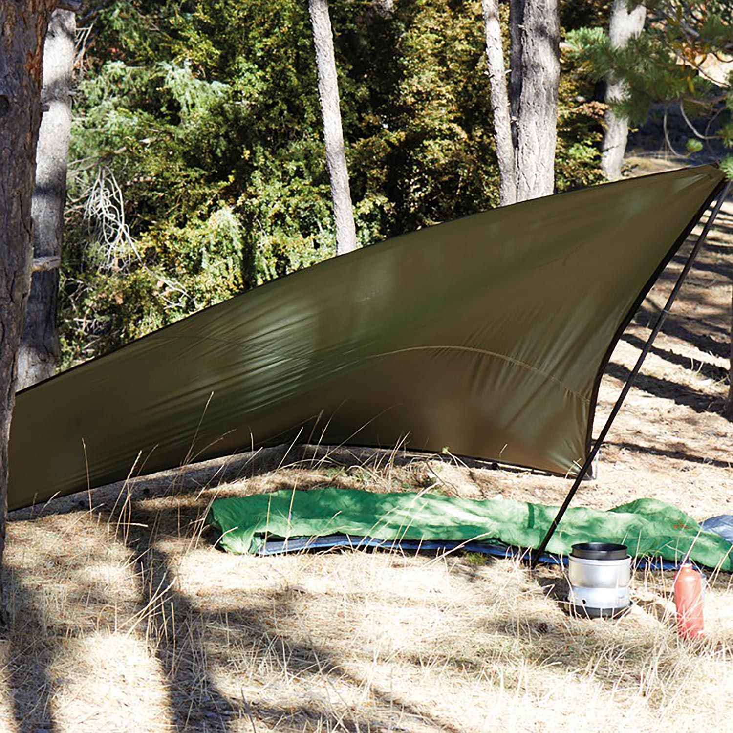 Tarp Zuni Ray