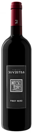Pinot Nero Provincia di Pavia IGP - Tenuta Quvestra