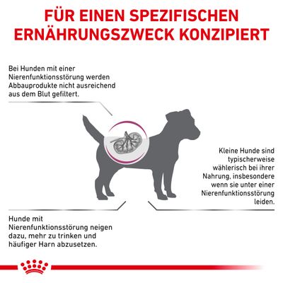 Royal Canin Veterinary Canine Renal Small Dogs