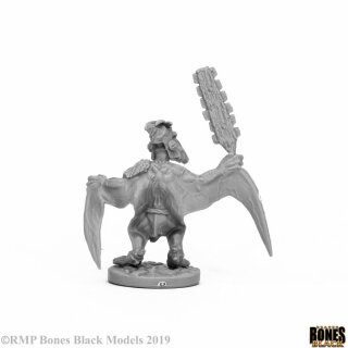 Skywing Stormcaller