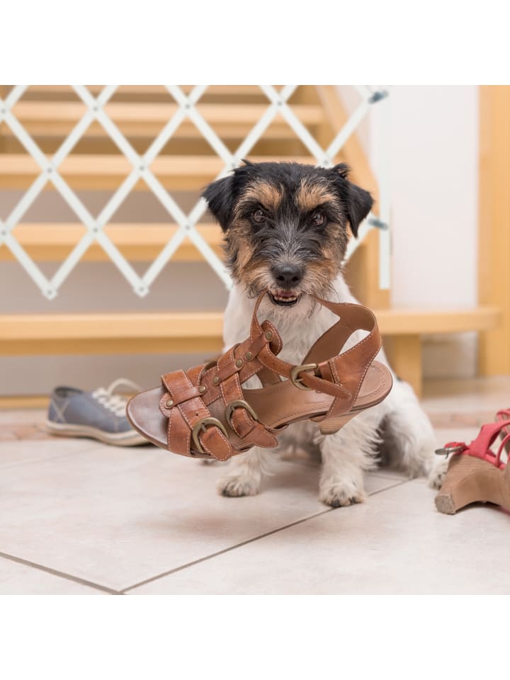 relaxdays Hundeabsperrgitter in Weiß - (B)96 x (H)48,5 cm günstig kaufen onesize